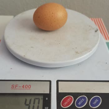 Sade Organik Ürünler Gezen Tavuk Yumurtası