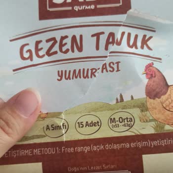 Sade Organik Ürünler Gezen Tavuk Yumurtası