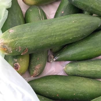 Mopaş Hipermarket Trendyol GO'dan Gelen Çürük Sebzeler Ve Yetersiz Mağaza Açıklaması
