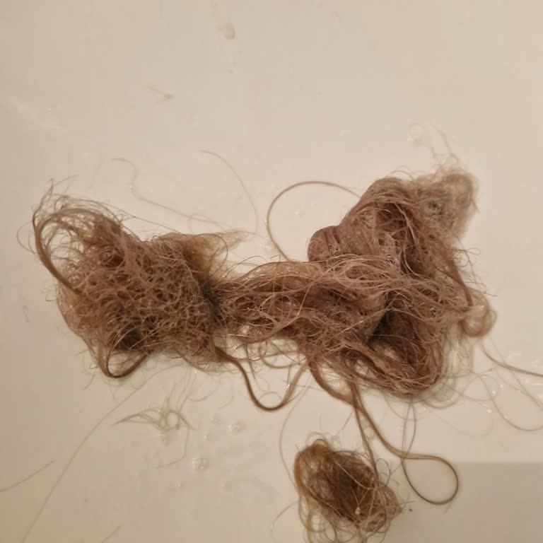 Rio Coiffure & Beauty Rio Eryaman Kuafor