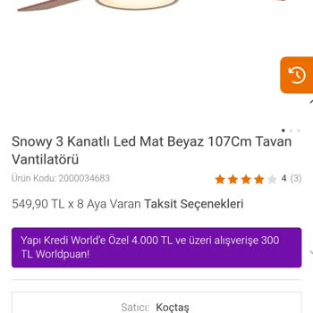 Koçtaş Koskoca Marka Pes