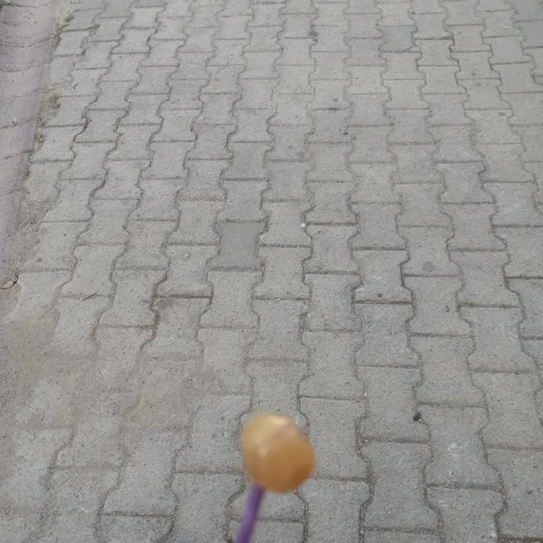 A101 6'Lı Lolipopun İçinden Sakızlı Yazmasına Rağmen Sakız Çıkmadı!