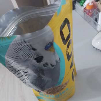 Bado Pet Food Aldığın Yemden Bir Şey Çıktı (bado)