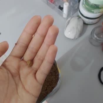 Bado Pet Food Aldığın Yemden Bir Şey Çıktı (bado)