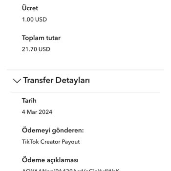 Payoneer Auszahlung von TikTok fehlgeschlagen - Geld verschwunden und Gebühren unklar