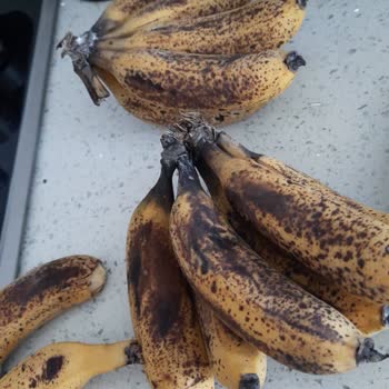 Migros Sanal Market Çürümüş Gıdalar Satıyor.