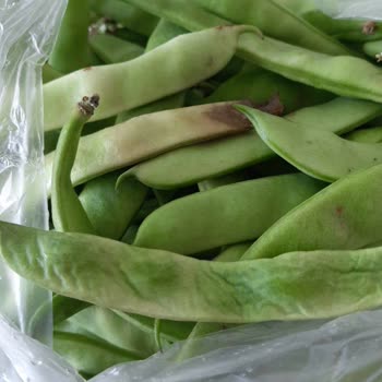 Migros Sanal Market Çürümüş Gıdalar Satıyor.