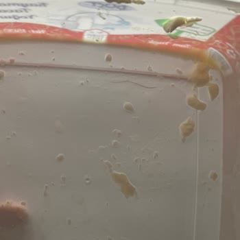 Dost Süt Kıl Çıktı İçinden