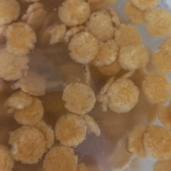 BİM Kelly's Mısır Gevreğindeki Ne Olduğu Belli Olmayan Siyah Parçalar