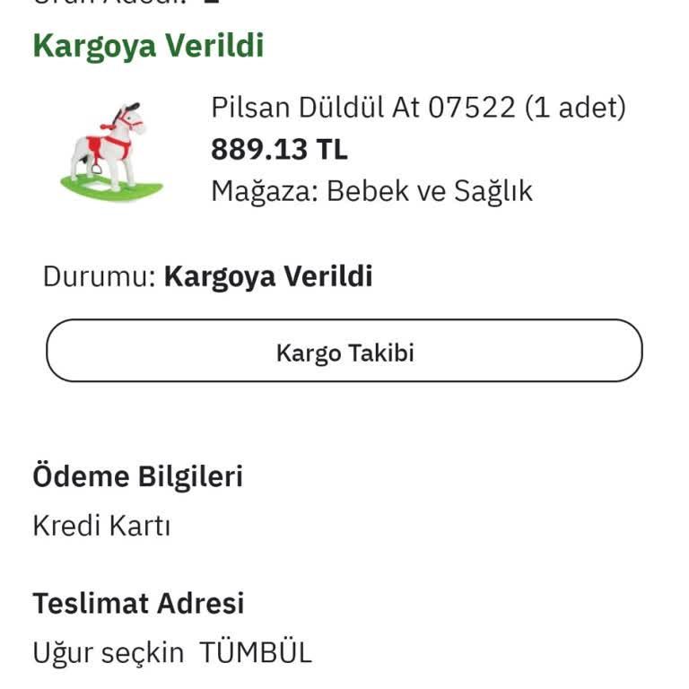 PTT Kargo Oyuncak At Renkli Güzel