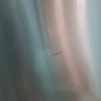 Profilo Bosch Perişan Olduk Aldığımız 3 Aylık Buzdolabı Kapak Paslanması