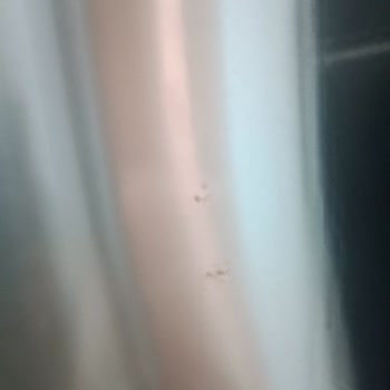 Profilo Bosch Perişan Olduk Aldığımız 3 Aylık Buzdolabı Kapak Paslanması