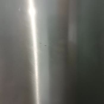 Profilo Bosch Perişan Olduk Aldığımız 3 Aylık Buzdolabı Kapak Paslanması