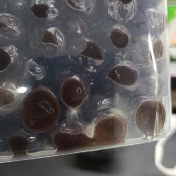 A101 Marketten Aldığımız Zeytinlerde Küf Sorunu Ve İade Problemi