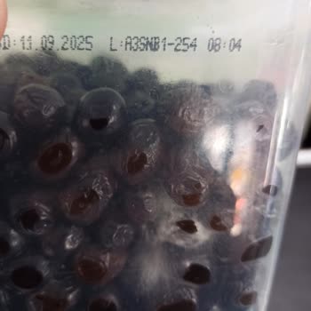 A101 Marketten Aldığımız Zeytinlerde Küf Sorunu Ve İade Problemi