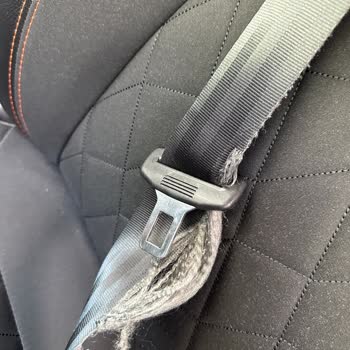 Fiat Markası Pişmanlığı