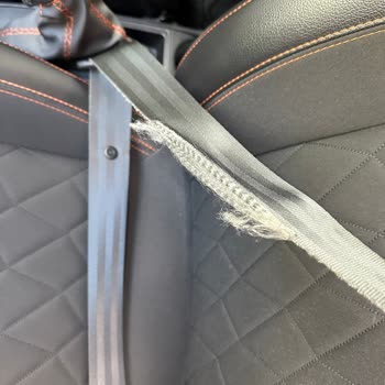 Fiat Markası Pişmanlığı