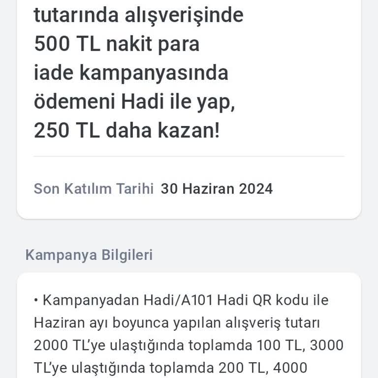 A101 Hadi Kazancım Hesabıma Geçmedi