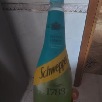Schweppes Lemon Bitter İçindeki Yabancı Maddeler