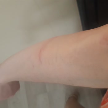 İsabella Meyhane Şikayetçi Oldum