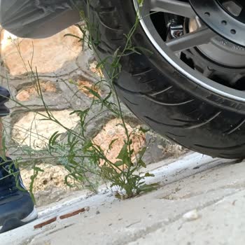 Volta Kırık Cant Ve Kazalı Motor