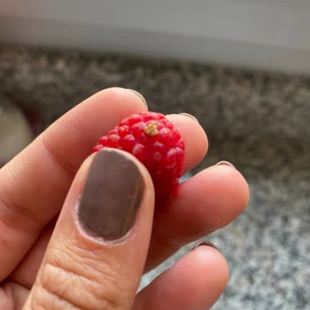 BİM Dondurulmuş Frambuaz