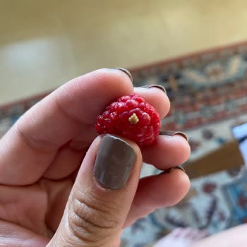 BİM Dondurulmuş Frambuaz