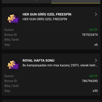 Royalbet Bu Sitenin Gerçek Yuzu