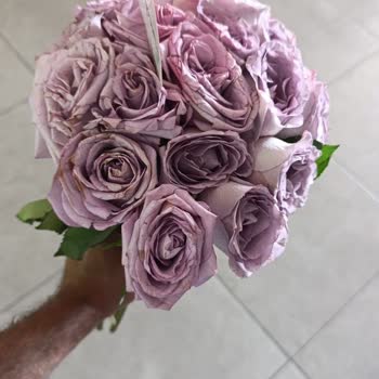 Sorumsuz Satıcı Ve Çiçek Sepeti Mağduriyetim