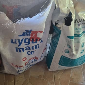 PTT Kargo Hasarlı Teslimat Ve Epttavm İade Problemi