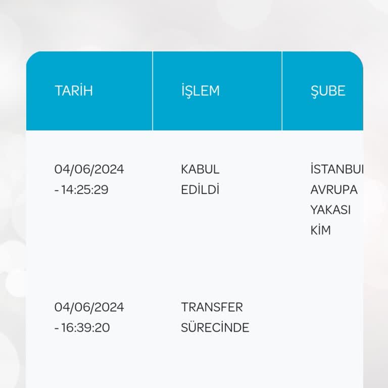 PTT Kargo Hatay Antakya DTM