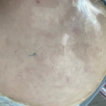 Polonez Bozuk Hindi Füme