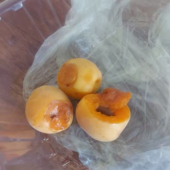 Mopaş Market Online Siparişlerde Kalite Sorunu