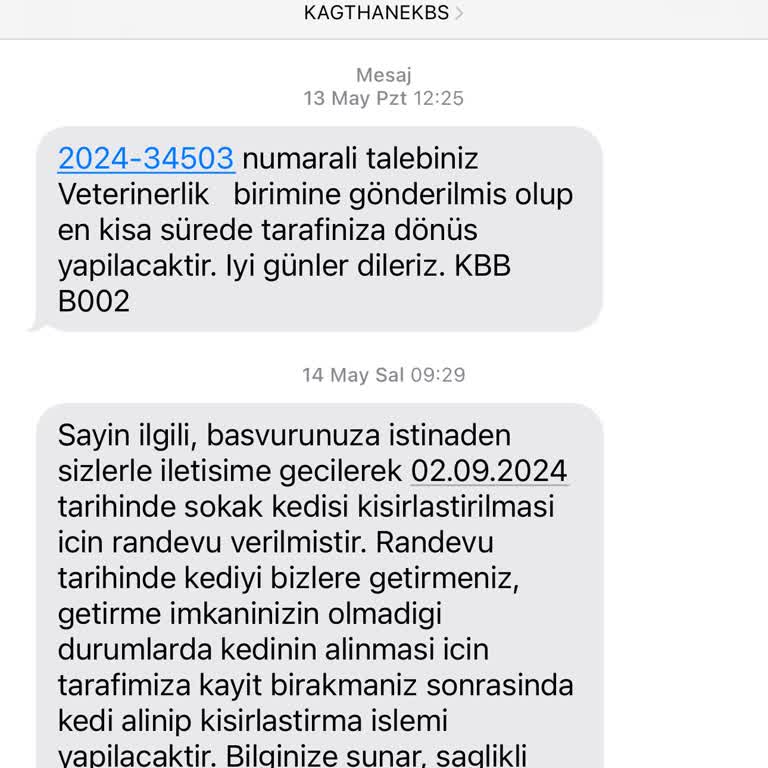 Kağıthane Belediyesi 112 Gün Sonraya Kısırlaştırma Randevusu