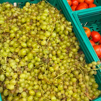24. Bölge Şok Market