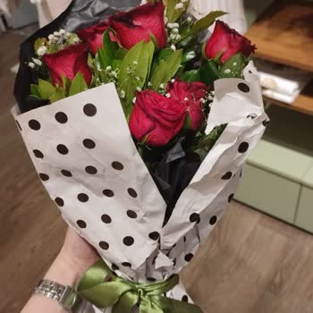 Osevio.com Müşteri Hizmetleri Rezaletliği