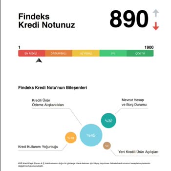 Findeks Puanım Durduk Yere 5 Günde 205 Puan Düşmüş