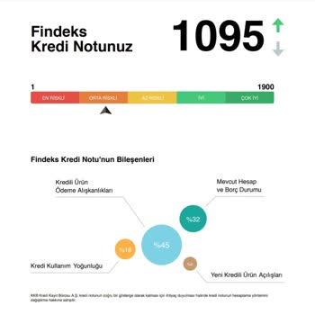 Findeks Puanım Durduk Yere 5 Günde 205 Puan Düşmüş