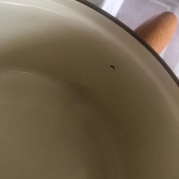 Madame Coco Sorunlu / Deformeli Ürün