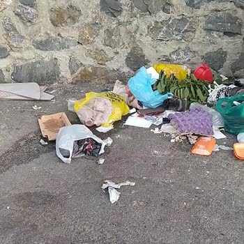 Sarıyer Belediyesi Çöp Konteyneri Yer Değişikliği Talebi