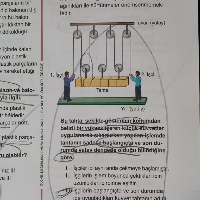 Milli Eğitim Bakanlığı (MEB) LGS Fen Sorusu İptal Edilmeli