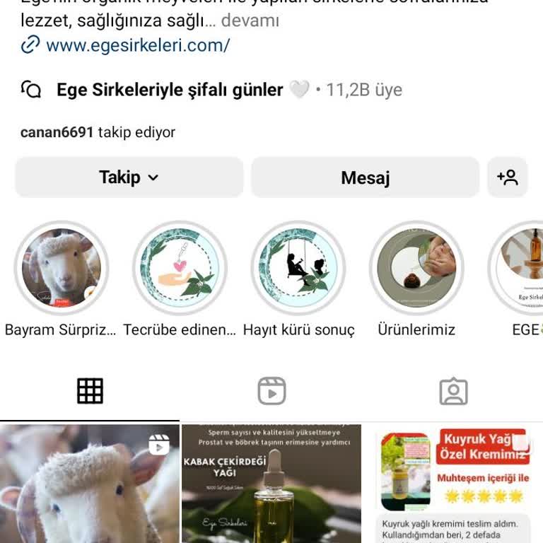 Ege Sirkeleri Instagram Sayfası Güvenilir Mi