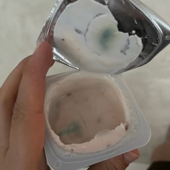 Sütaş Küflü Çıkan Meyveli Yoğurt