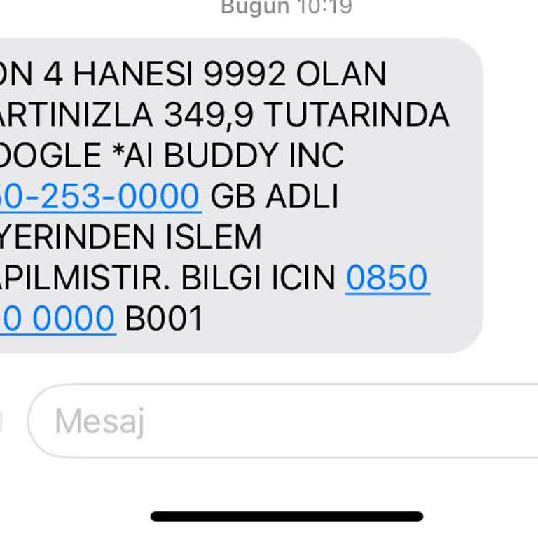 Buddy.ai Buddy İnc Üyelik İptali