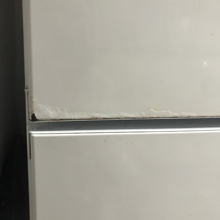 Bosch Buzdolabı Kapağı Küflenme