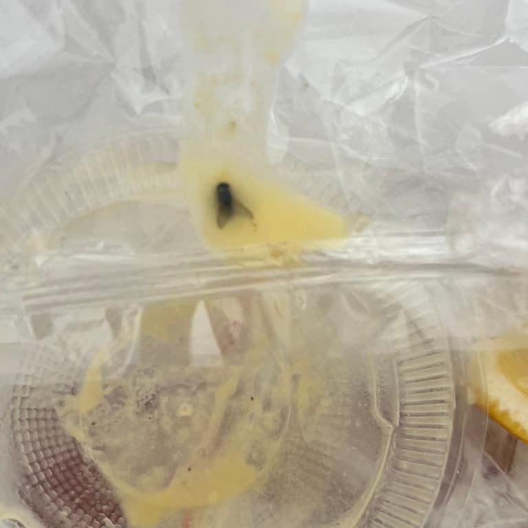 326 Antakya Dürüm 'de Çorbadan Sinek Çıktı