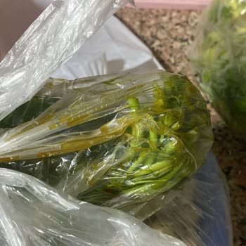 Migros Sanal Market Mağduriyeti