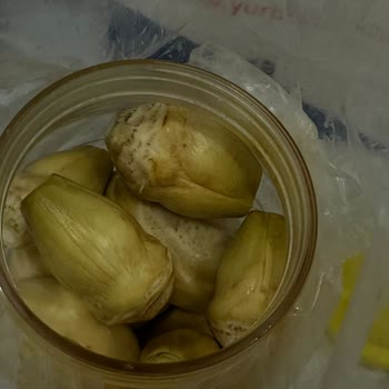 Enginarmevisimi.com Adlı Siteden Aldığım Enginarlar Bozuk Geldi