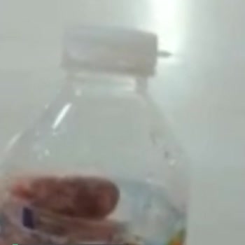 Saka Su Kapak Kesici Gibi