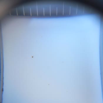 Renault Aracında Paslanmaların Olması Pas Ve Kortizon 6yıl Garantili